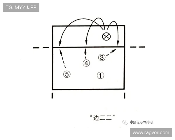 上海排球队战术表现深度分析与数据解读探讨