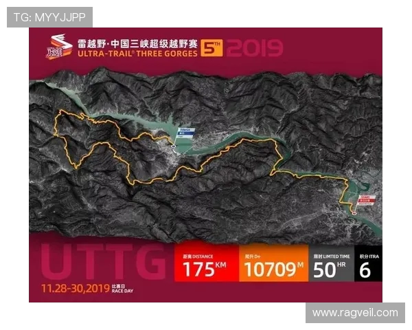 冠军杯特别报道：LNG战队的崛起与辉煌历程全景回顾