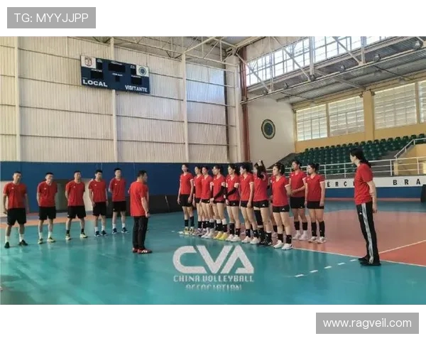 北京排球队配合技巧解析与训练方法探讨