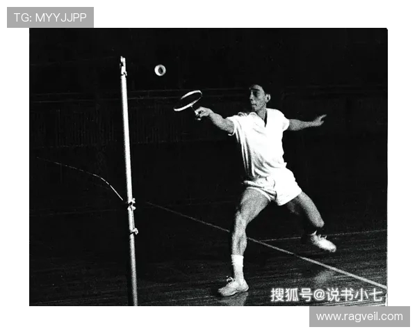 南京羽毛球队包夹战术创新解析与未来发展展望