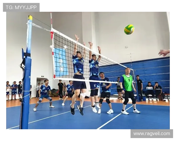 成都排球队在全国排球团队协作排行榜中荣获第九名的佳绩分析