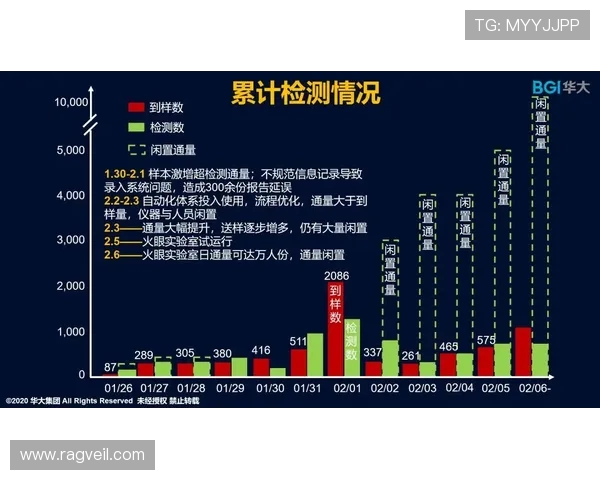 深入探讨北京羽毛球队成员个人能力差异及其对比赛表现的影响分析