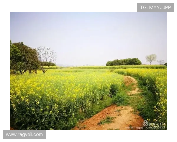 滑板梦想启航南京滑板队的逆袭之路与青春追逐 滑板梦想启航南京滑板队的逆袭之路与青春追逐