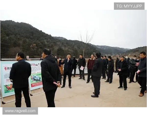 西安乒乓球队区域防守创新之路探秘与实践分析