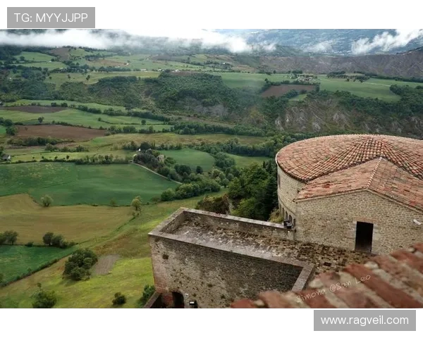 莱奥的成长之路从小镇到世界舞台的奋斗与荣耀 莱奥的成长之路从小镇到世界舞台的奋斗与荣耀