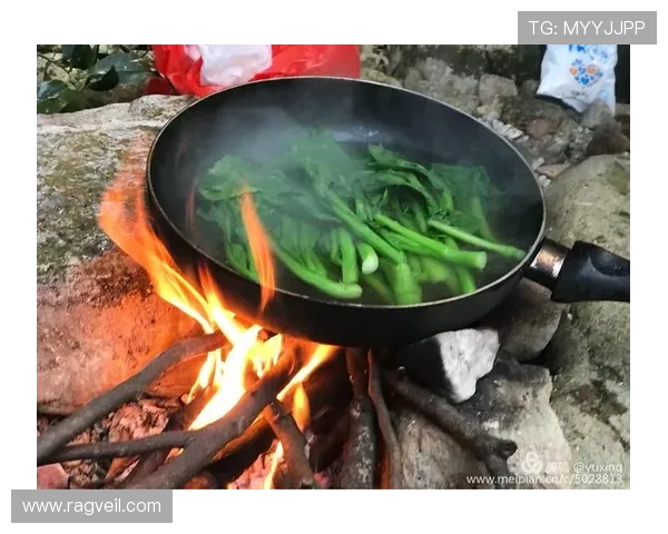 飞盘之路：王丽如何在运动中找到自我与梦想的深度对话