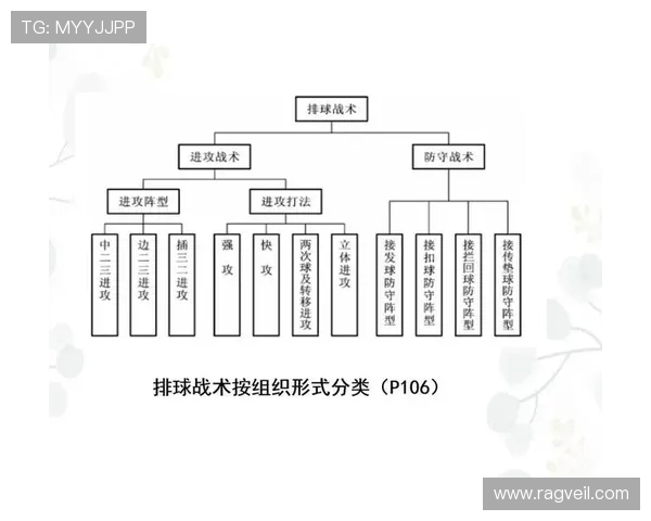 排球新手必看：从基础到战术的全面入门指南与技巧分享