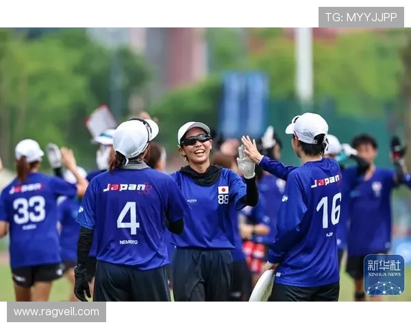 飞盘焦点：深入分析北京飞盘队的默契配合与战术运用
