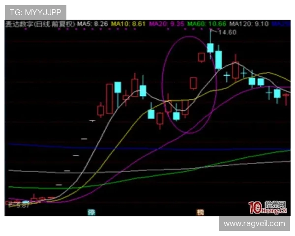 上海篮球队技术分析与战术创新的深度探讨与未来发展展望 上海篮球队技术分析与战术创新的深度探讨与未来发展展望