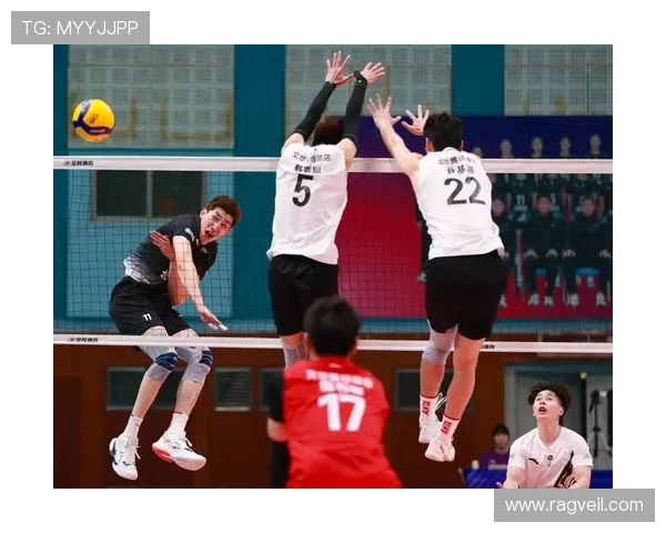 北京排球队在全国排球团队协作排名中创新高展现团队精神与实力