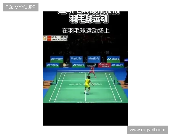 南京羽毛球队近期状态分析与表现评估全面解读