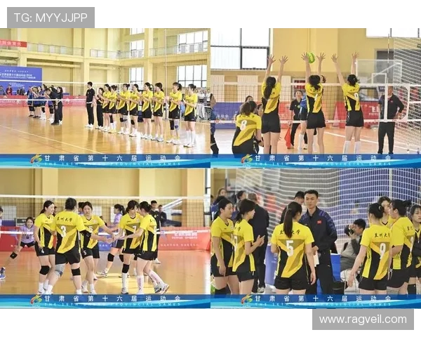 成都排球队的团队协作揭秘：排球巨献背后的默契与拼搏精神