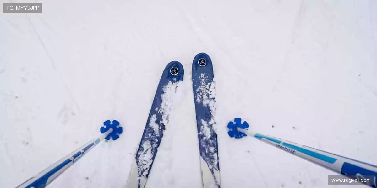 ⚽️全球赛事同步，见证每一个辉煌瞬间！